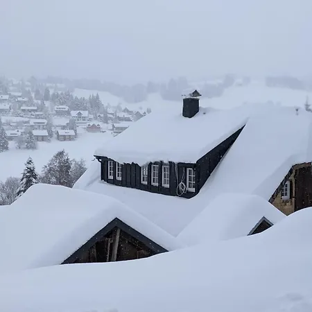 Schwarzwald Matti In Chalet