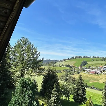 Chalet Schwarzwald Matti In Todtnauberg