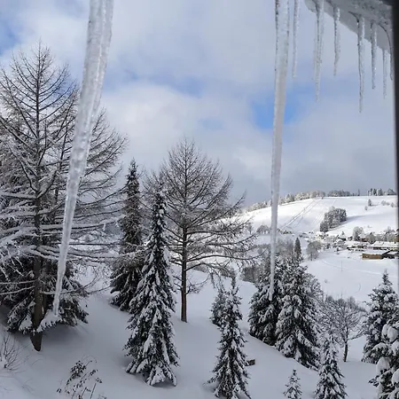 Schwarzwald Matti In * Todtnauberg
