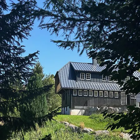 Schwarzwald Matti In