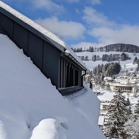 Chalet Schwarzwald Matti In