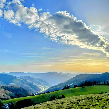 Schwarzwald Matti In * Todtnauberg