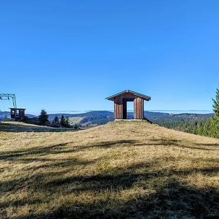 Chalet Schwarzwald Matti In