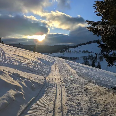 Schwarzwald Matti In