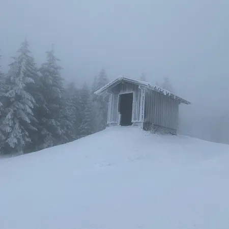 Chalet Schwarzwald Matti In