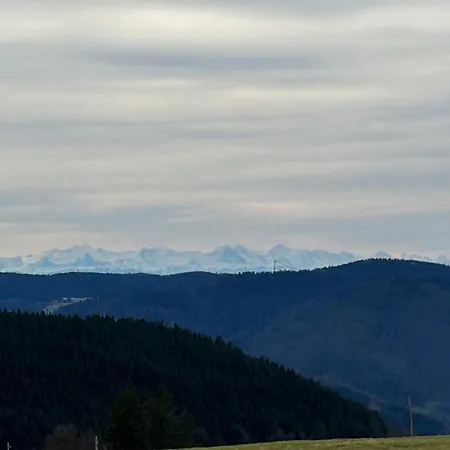 Schwarzwald Matti In Todtnauberg