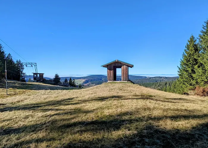 Chalet Schwarzwald Chalet Matti In Todtnauberg